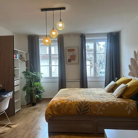 Appartement Cosy Au Coeur De La Ville D'Auch Exterior photo