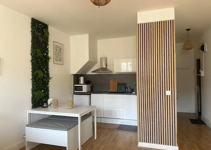 Appartement cosy au coeur de la ville d\'Auch